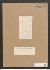 Nitzschia stoliczkiana Grun. (de-Toni-Nr.: Genus 47, Species 2143) Zeichnungen Sammlung Grunow Nr. 4315 (NHMW-BOT-W0372341)